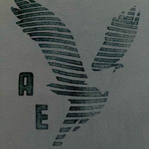 American Eagle men’s medium short sleeve tee. Blue.